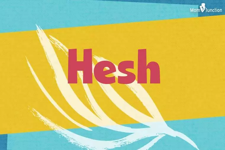 Hesh Stylish Wallpaper