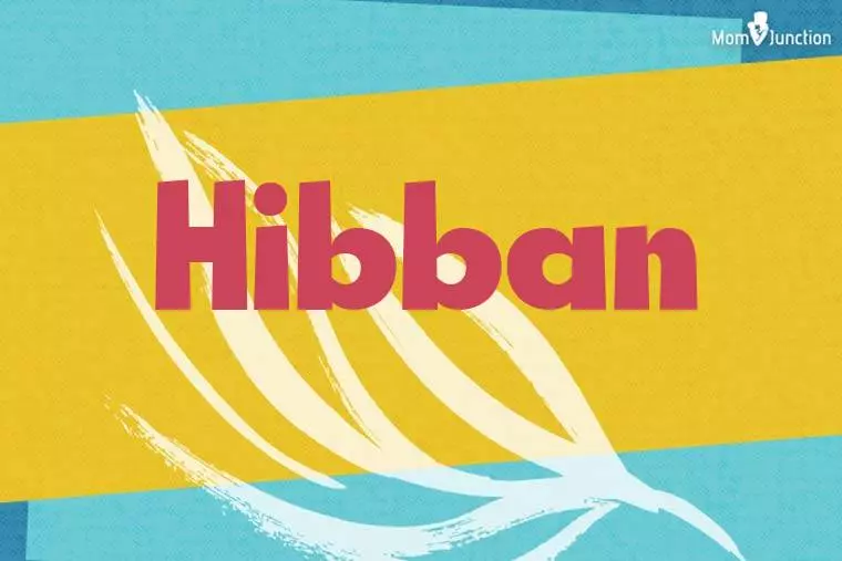 Hibban Stylish Wallpaper