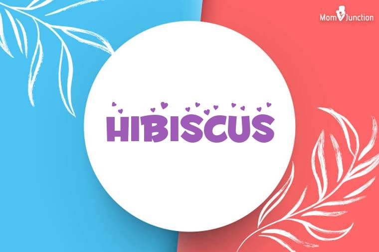 Hibiscus Stylish Wallpaper
