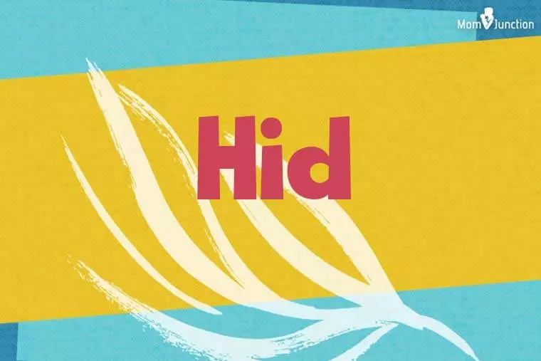 Hid Stylish Wallpaper