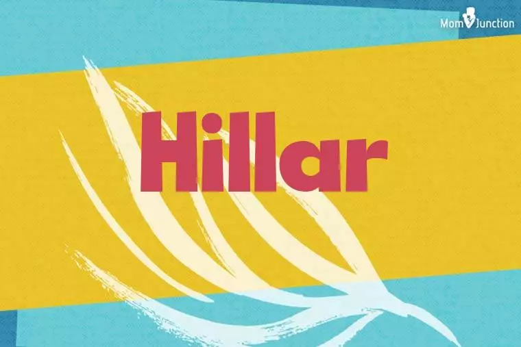 Hillar Stylish Wallpaper