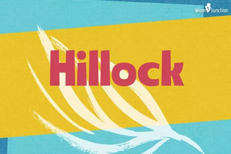 Hillock Stylish Wallpaper