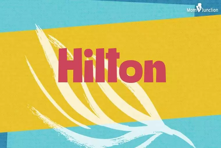 Hilton Stylish Wallpaper