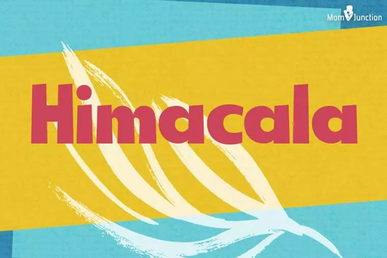 Himacala Stylish Wallpaper