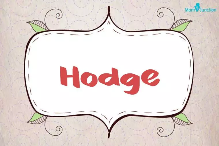 Hodge Stylish Wallpaper