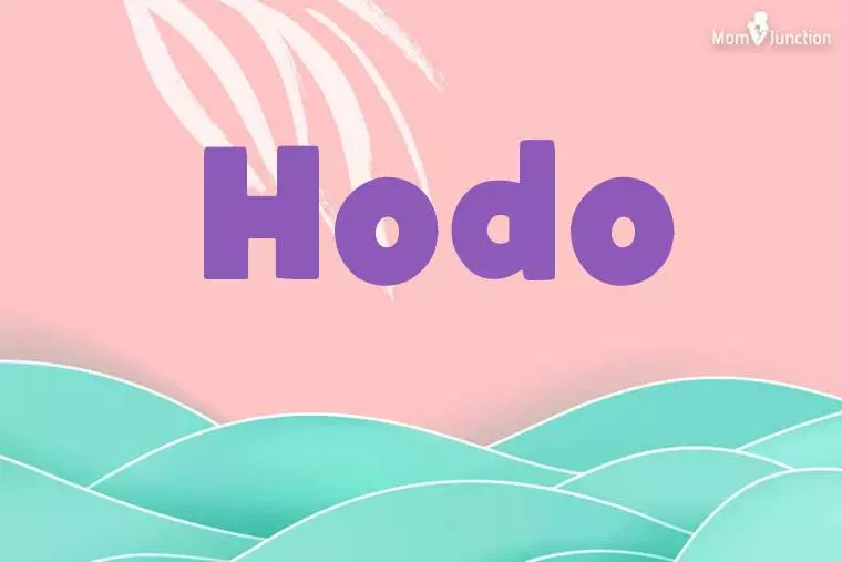 Hodo Stylish Wallpaper