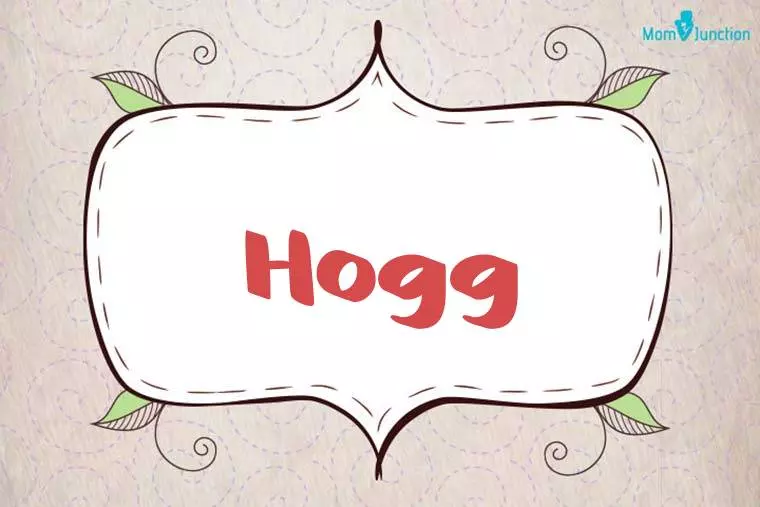 Hogg Stylish Wallpaper