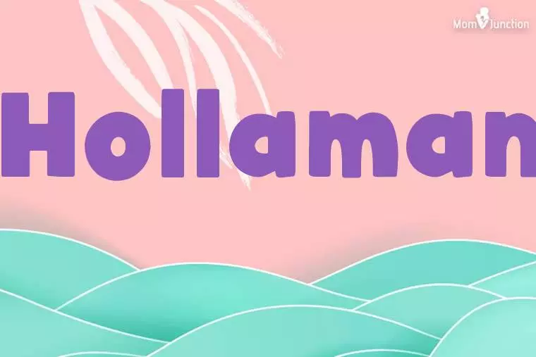 Hollaman Stylish Wallpaper