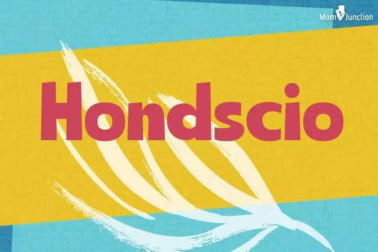 Hondscio Stylish Wallpaper