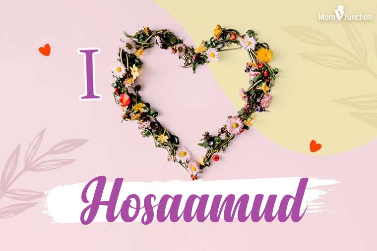 I Love Hosaamud Wallpaper