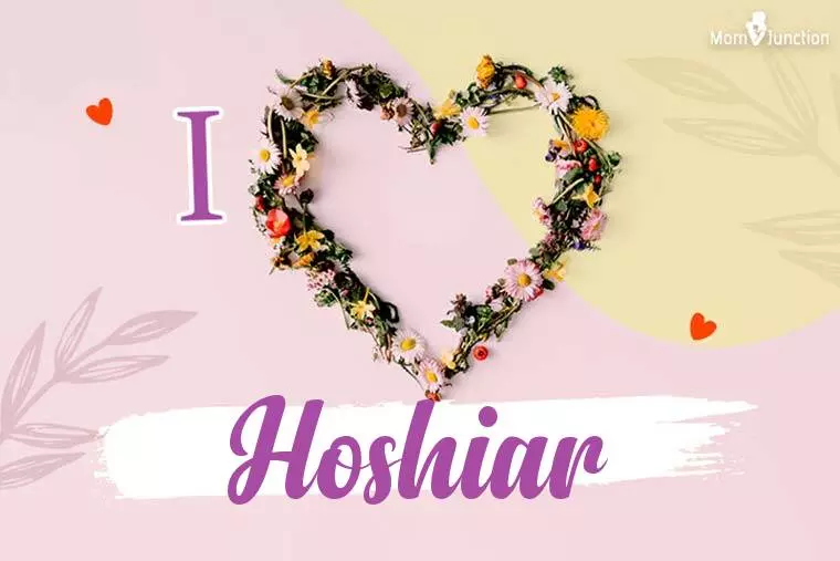 I Love Hoshiar Wallpaper