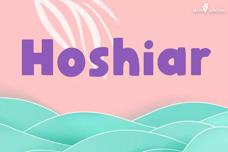 Hoshiar Stylish Wallpaper