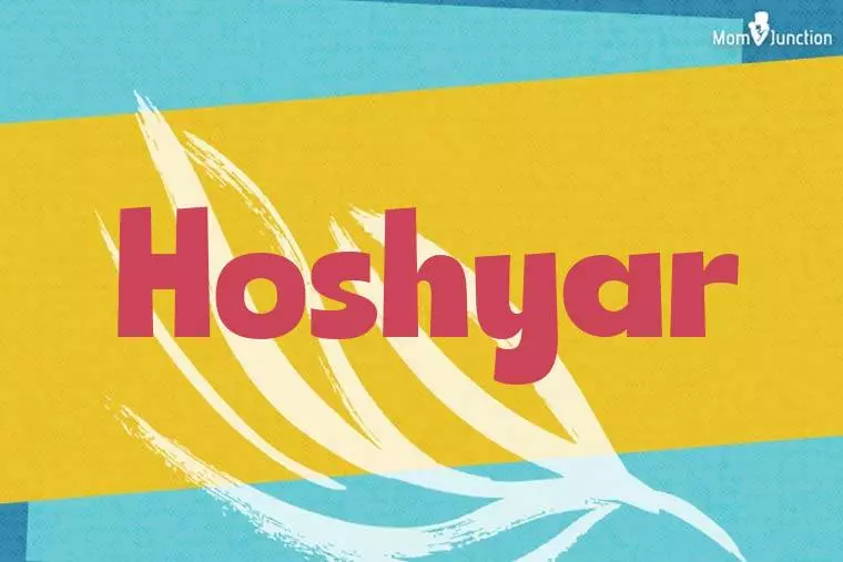 Hoshyar Stylish Wallpaper