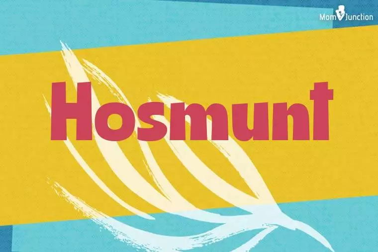 Hosmunt Stylish Wallpaper