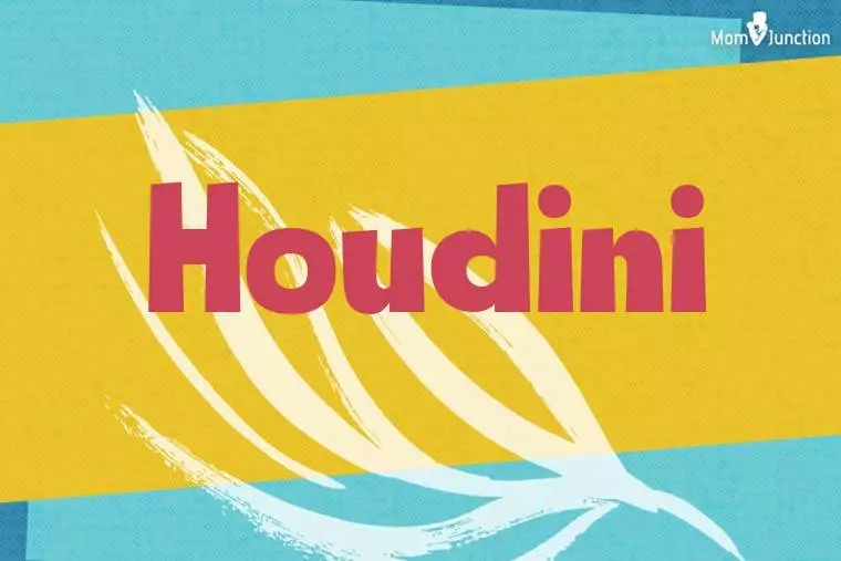 Houdini Stylish Wallpaper