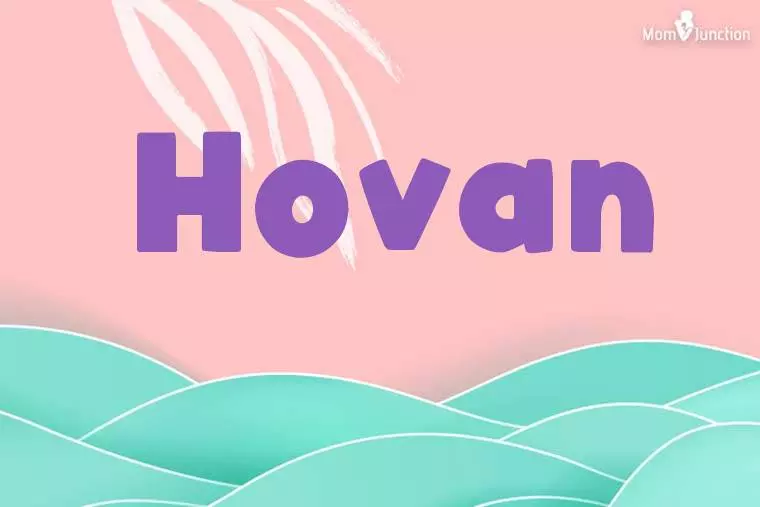 Hovan Stylish Wallpaper