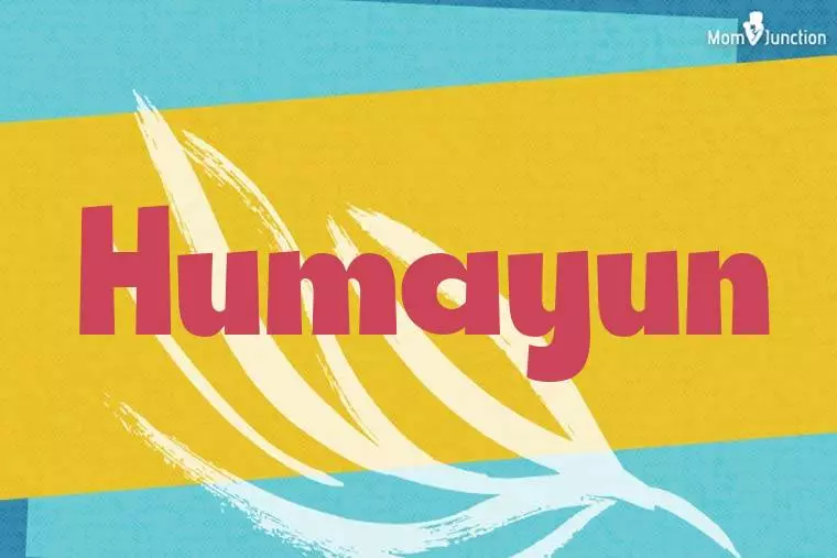 Humayun Stylish Wallpaper