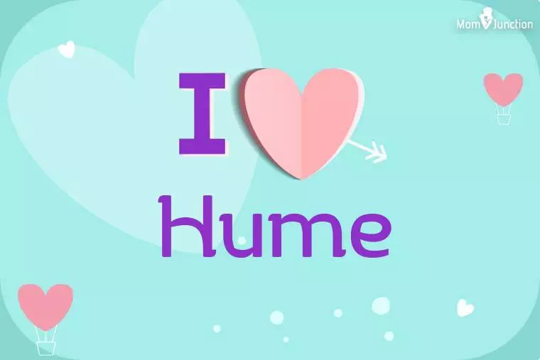 I Love Hume Wallpaper