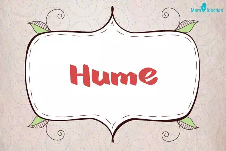 Hume Stylish Wallpaper