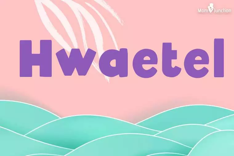 Hwaetel Stylish Wallpaper