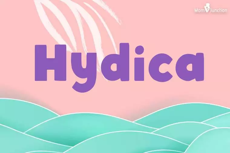 Hydica Stylish Wallpaper