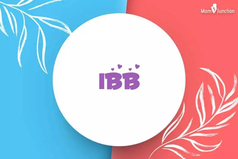 Ibb Stylish Wallpaper