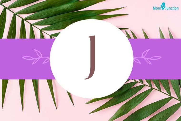 Jim Name Meaning, Origin, History, And Popularity