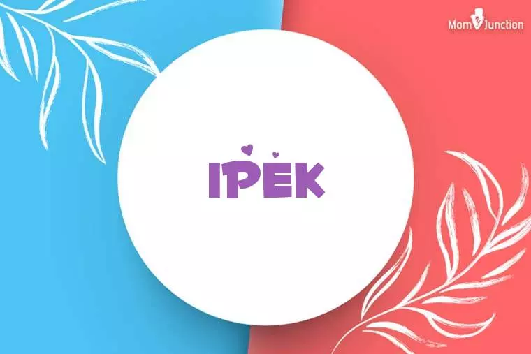 Ipek Stylish Wallpaper