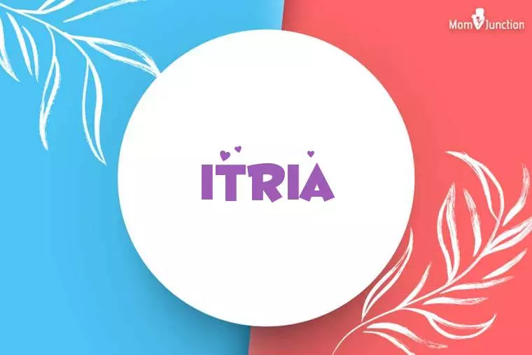 Itria Stylish Wallpaper