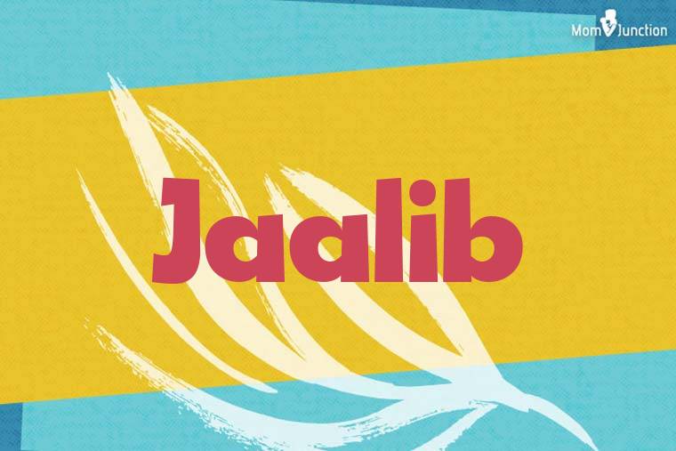 Jaalib Stylish Wallpaper