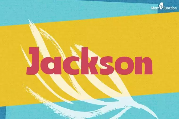 Jackson Stylish Wallpaper