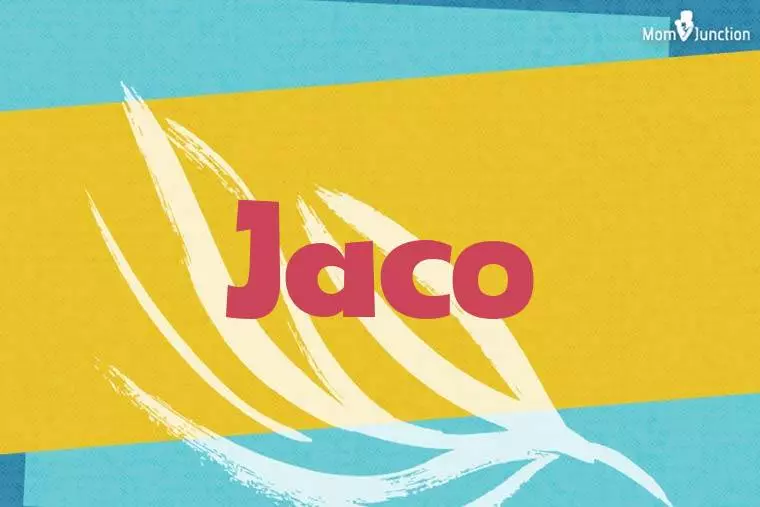 Jaco Stylish Wallpaper