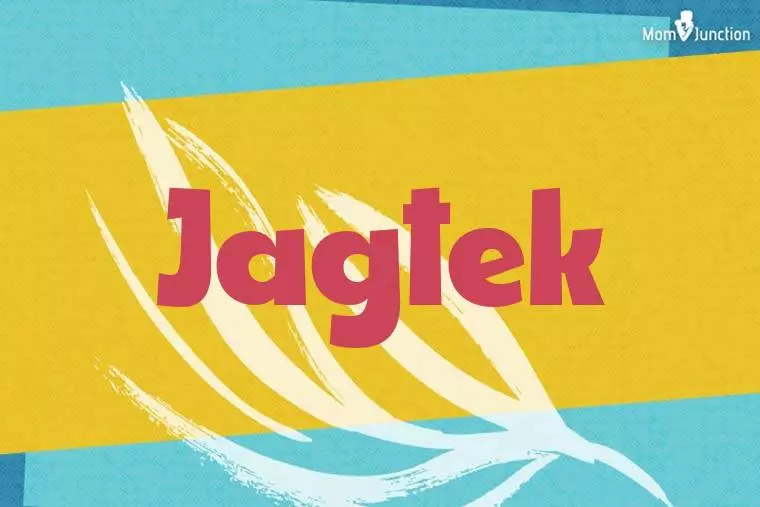 Jagtek Stylish Wallpaper