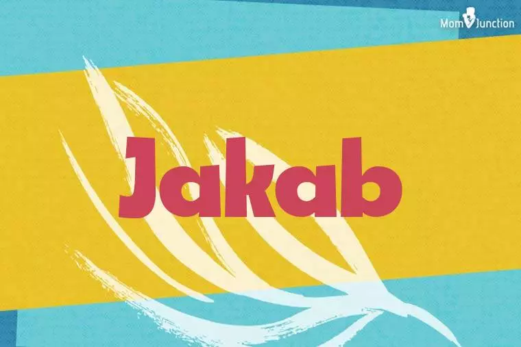 Jakab Stylish Wallpaper