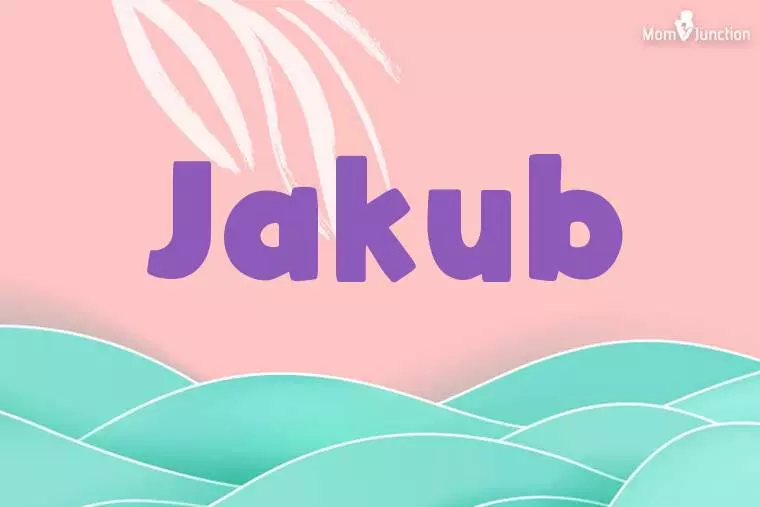 Jakub Stylish Wallpaper