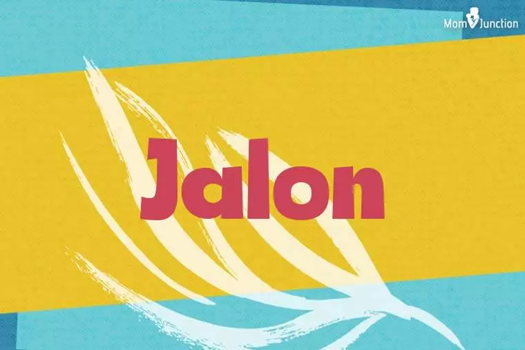 Jalon Stylish Wallpaper