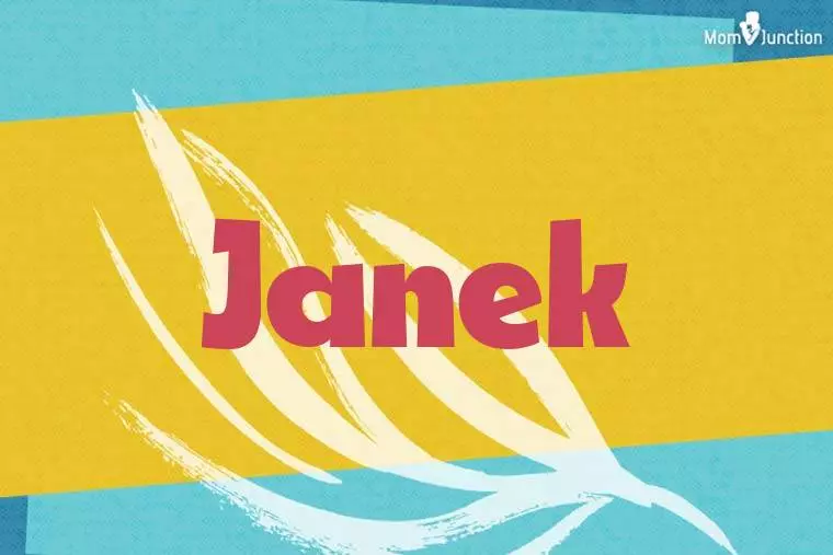 Janek Stylish Wallpaper