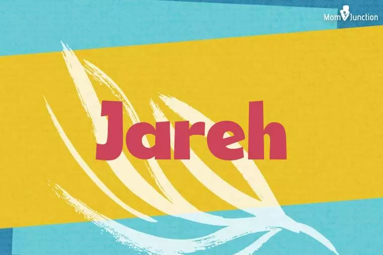 Jareh Stylish Wallpaper