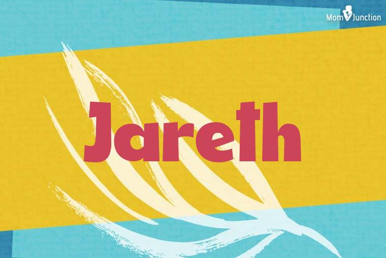 Jareth Stylish Wallpaper