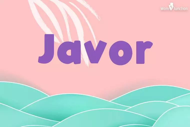 Javor Stylish Wallpaper