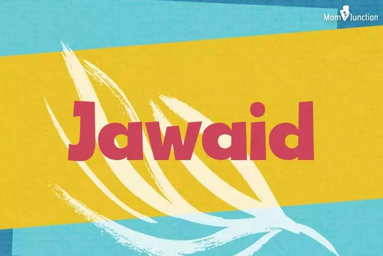 Jawaid Stylish Wallpaper