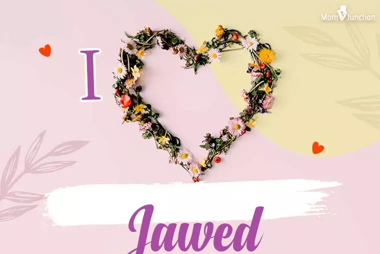 I Love Jawed Wallpaper