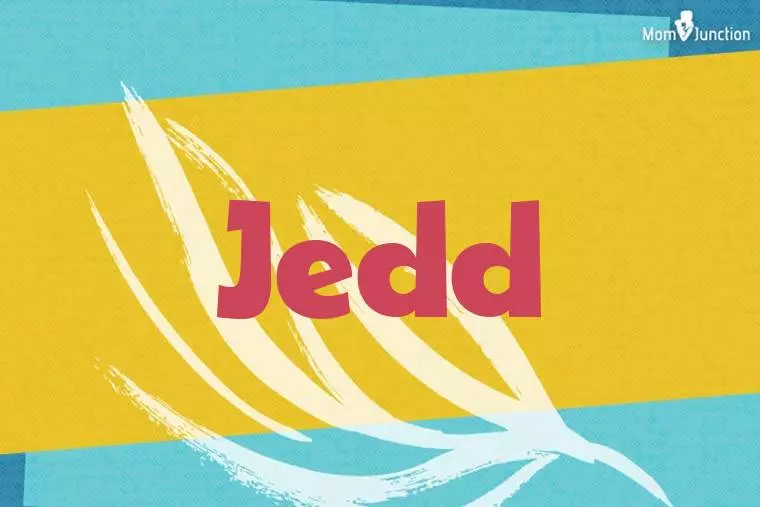 Jedd Stylish Wallpaper