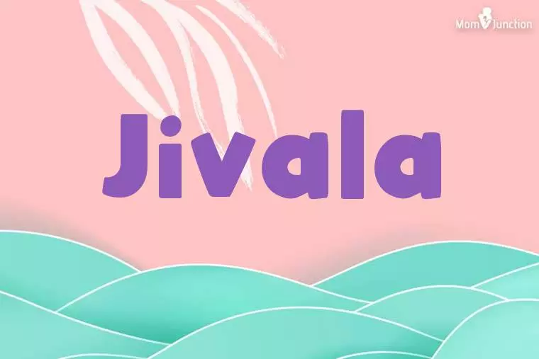 Jivala Stylish Wallpaper