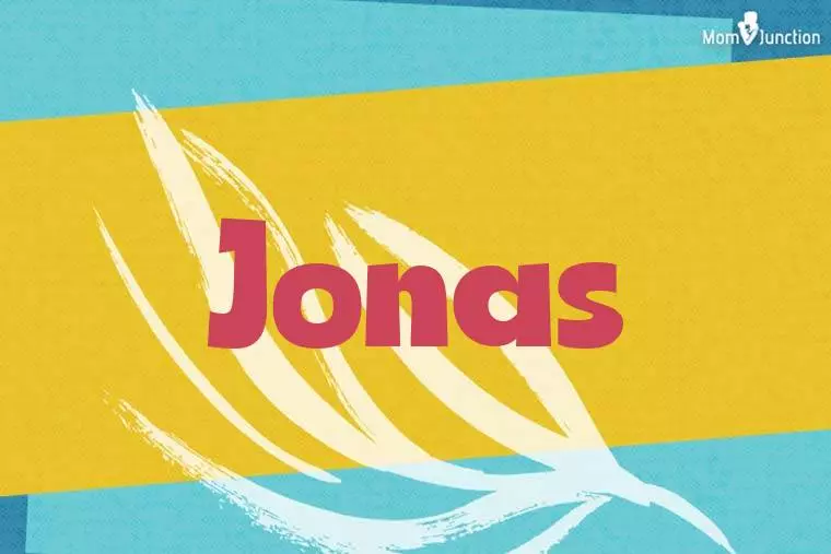 Jonas Stylish Wallpaper