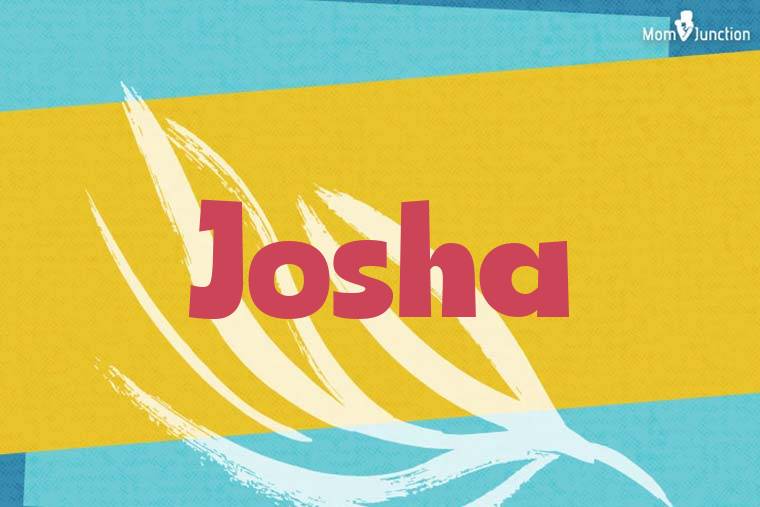 Josha Stylish Wallpaper