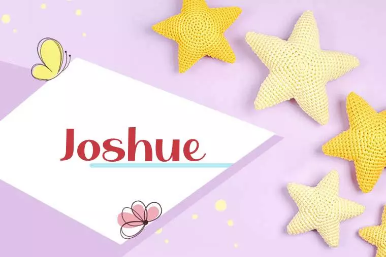 Joshue Stylish Wallpaper