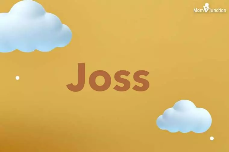 Joss 3D Wallpaper