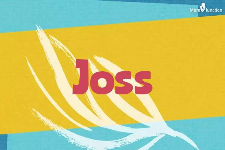 Joss Stylish Wallpaper