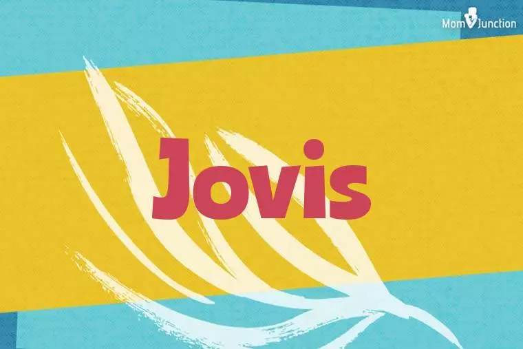 Jovis Stylish Wallpaper